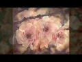 A small  measure of peace - Hans Zimmer.wmv