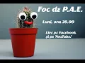 Download Lagu Tzancă și Bursucu au dat palme și șuturi bunului simț