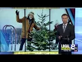 Christmas tree permits are available for purchase