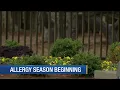 Allergy season beginning