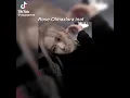 rose olmazlara inat ai voice cr veremedim dinlemek icin kb