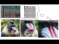 JPEG Tutorial Part 1 Emulating JPEG in Python with The Discrete Cosine Transform