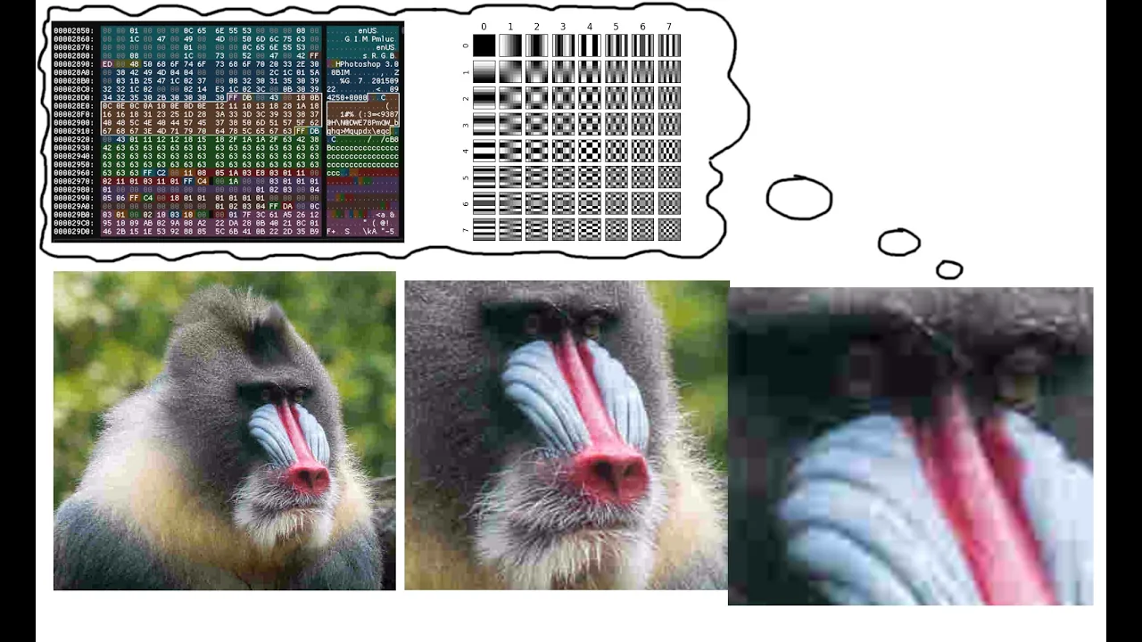 JPEG Tutorial Part 1: Emulating JPEG in Python with The Discrete Cosine Transform