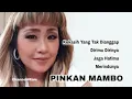 Download Lagu PINKAN MAMBO, The Very Best Of : Kekasih Yang Tak Dianggap - Dirimu Dirinya -Jaga Hatimu -Merindunya