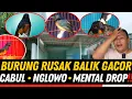Download Lagu TEMPAT SAKTI BETULIN BURUNG RUSAK‼️ DARI CABUL, NGLOWO SAMPE MENTAL DROP BALIK GACOR 🔥