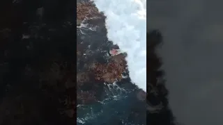Surfer gets WORKED over on DRY reef!!