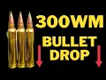 300 Win Mag Bullet Drop - With Holdovers and Dials for MOA and MILS