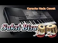 Download Lagu Saksi Bisu Duni Zaen Karaoke Nada Cewek