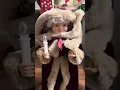 1996 Telco Mr Mrs Santa Claus Animated Illuminated