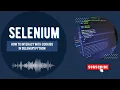 How to Handle Cookies in Selenium Python Save Load Delete Cookies