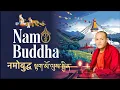 Download Lagu Namo Buddha  : नमोबुद्ध སྟག་མོ་ལུས་སྦྱིན་