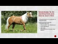 AQHA-Leitfaden Zur Besitzwechselanzeige