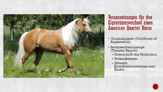 AQHA-Leitfaden Zur Besitzwechselanzeige