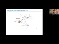Multi-electron Orbitals - General Chemistry - Michael Shirts