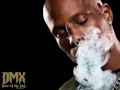 Dmx   What these Bitches want from a nigga dirty