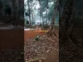 Download Lagu Ziarah makam#short#shortviral