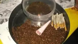 البانجو والحشيش            دندنها