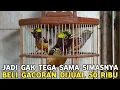 Download Lagu JADI GAK TEGA LIAT NYA BELANJA BURUNG GACOR RATUSAN RIBU DIJUAL CUMA 50 RIBU DIPASAR BURUNG PRAMUKA
