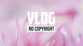 Ren Zivel - Hide [No Copyright Music]