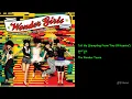 Download Lagu 원더걸스 - Tell Me (Sampling From 'Two Of Hearts')