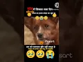 Download Lagu Raanjhanaa song lyrics sad song #song #sadsong #cute #dog #gaming #viralvideo #trending short #viral