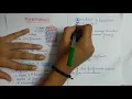 introduction to microtubules their structure and function