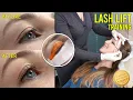 Professional Lash Lift Tutorial Step by Step Technique