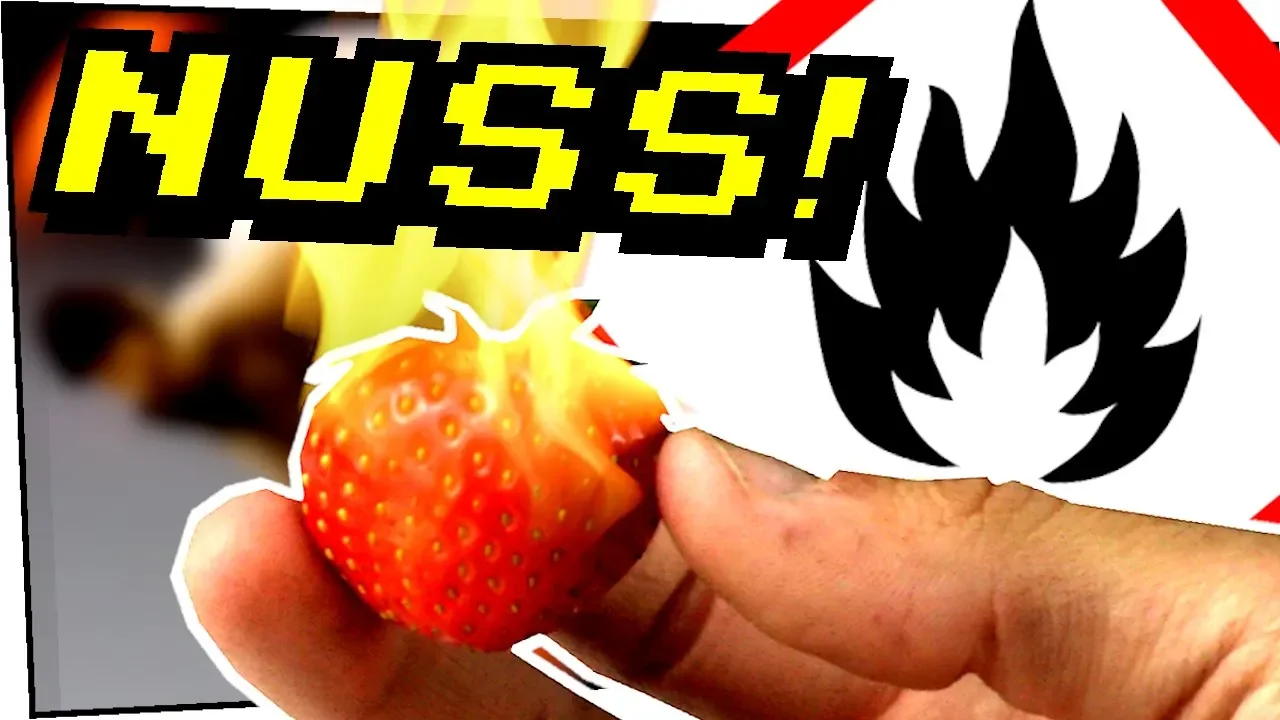 Wie gut brennt eine Nuss? Erdbeeren sind Nüsse! - Gefährliche Experimente #133