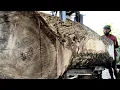 Sawing large rare wood hundreds of years old for table material