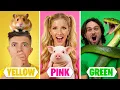 Download Lagu I Adopted Animals in One Color! MP3