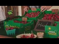 Coastal Customer Spotlight Unger Farms Inc