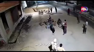 لحظة وقوع الزلزال في مصر    لحظات مرعبة الناس طلعت تجري فى الشارع من الخوف    دندنها