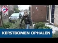 Download Lagu Scouting Honselersdijk haalt 137 kerstbomen op voor zomerkamp - OMROEP WEST
