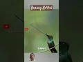 Download Lagu Burung kolibri paruh pedang dari Gunung Andes. Burung dengan paruh lebih panjang dari tubuhnya.