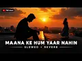 Maana Ke Hum Yaar Nahin 🖤 | Slowed + Reverb | Lofi Hindi Song