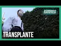 Download Lagu Coração artificial: aparelho é alternativa para quem tem problemas cardíacos