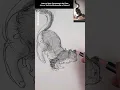 How to draw a cat