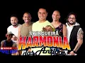 Download Lagu HARMONIA DO SAMBA DAS ANTIGAS (1999)