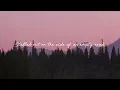 gavn! - vices (Official Lyric Video)