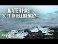 Download Lagu H2O: The Intelligence of Water | The Role of Water in Every Day Life | Documentary Central MP3