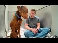 Download Lagu Watch his reaction when he’s told he’s a GOOD BOY for the first time