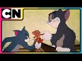 Download Lagu Tom and Jerry 😺🐭| Mischievous Jerry vs Tom 😍| Classic Cartoon😆| Cat \u0026 The Mouse | @cnindia​