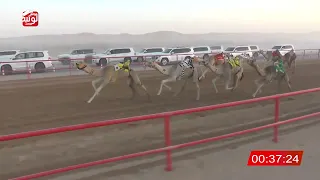 الشوط 5 الشاهينيه لـ محمد حمد راعي قحير الدرعي 2 12 10 شارة الصندوق 2025 03 22 فطامين الرقيعات 