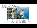 Download Lagu Baek Yerin - 'A Walk' Lyrics | Han/Rom/Eng/Ina (English Sub \u0026 Indonesia)