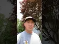 How much do new gutters cost