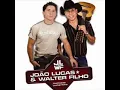 João Lucas e Walter Filho - INSANA {música nova!}