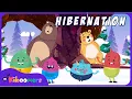 Hibernation - The Kiboomers Preschool Learning s