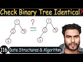 116 - Check if Two Binary Trees are Identical or Not Data Structure