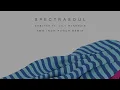 SpectraSoul - Shelter ft. Lily McKenzie (Two Inch Punch Remix)