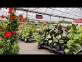 Langley cedar rim nursery